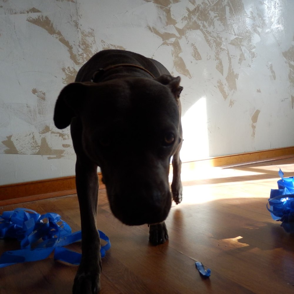 Meet your Posher, Lynn